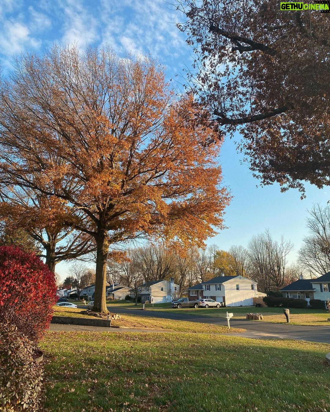 Jenn McAllister Instagram - november in tennessee + pennsylvania