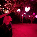 Jenn McAllister Instagram - why not Los Angeles, California