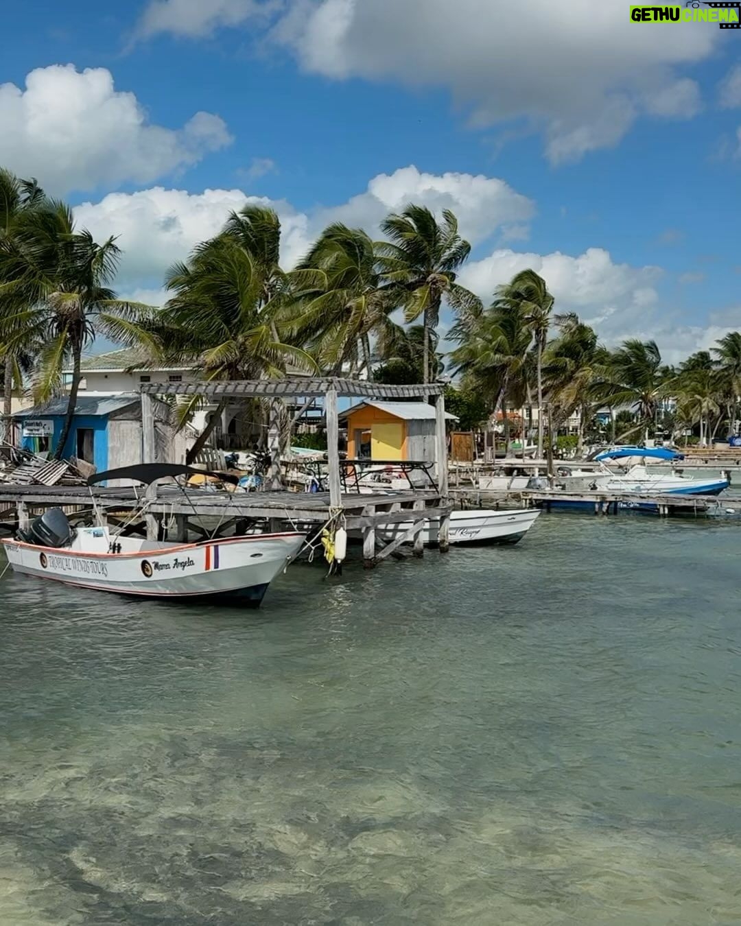 Jenn McAllister Instagram - 2024!🌴 i’ve been wanting to come to belize for so long. feeling good about this year Ambergris Caye, Belize