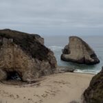 Jenn McAllister Instagram – feeling lucky🪴 Santa Cruz, California