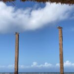 Jenn McAllister Instagram – ARUBA ! 🦀🌴 Aruba