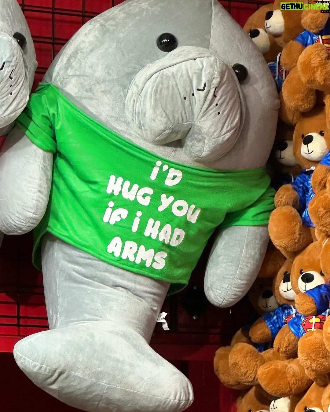 Jenna Davis Instagram - this is ur sign to thirdwheel ur best friend & her boyfriend💕 Six Flags