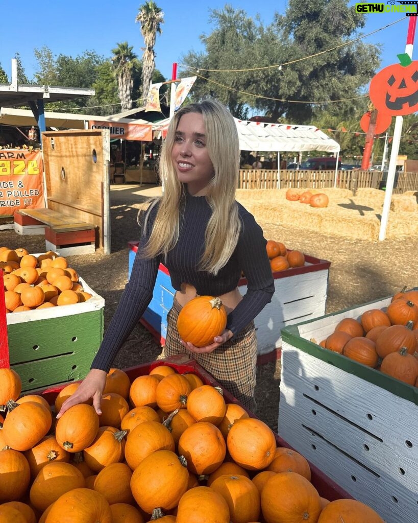 Jenna Davis Instagram - pumpkin patchin 🎃 Tapia Brothers Pumpkin Patch
