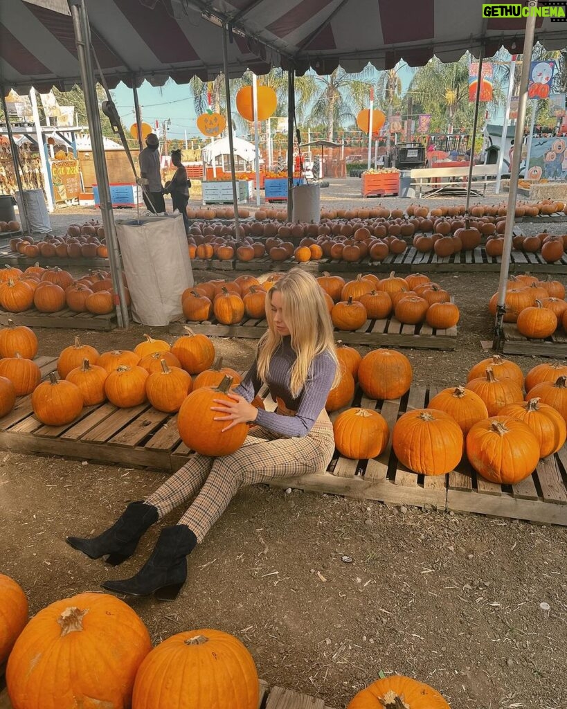 Jenna Davis Instagram - pumpkin patchin 🎃 Tapia Brothers Pumpkin Patch