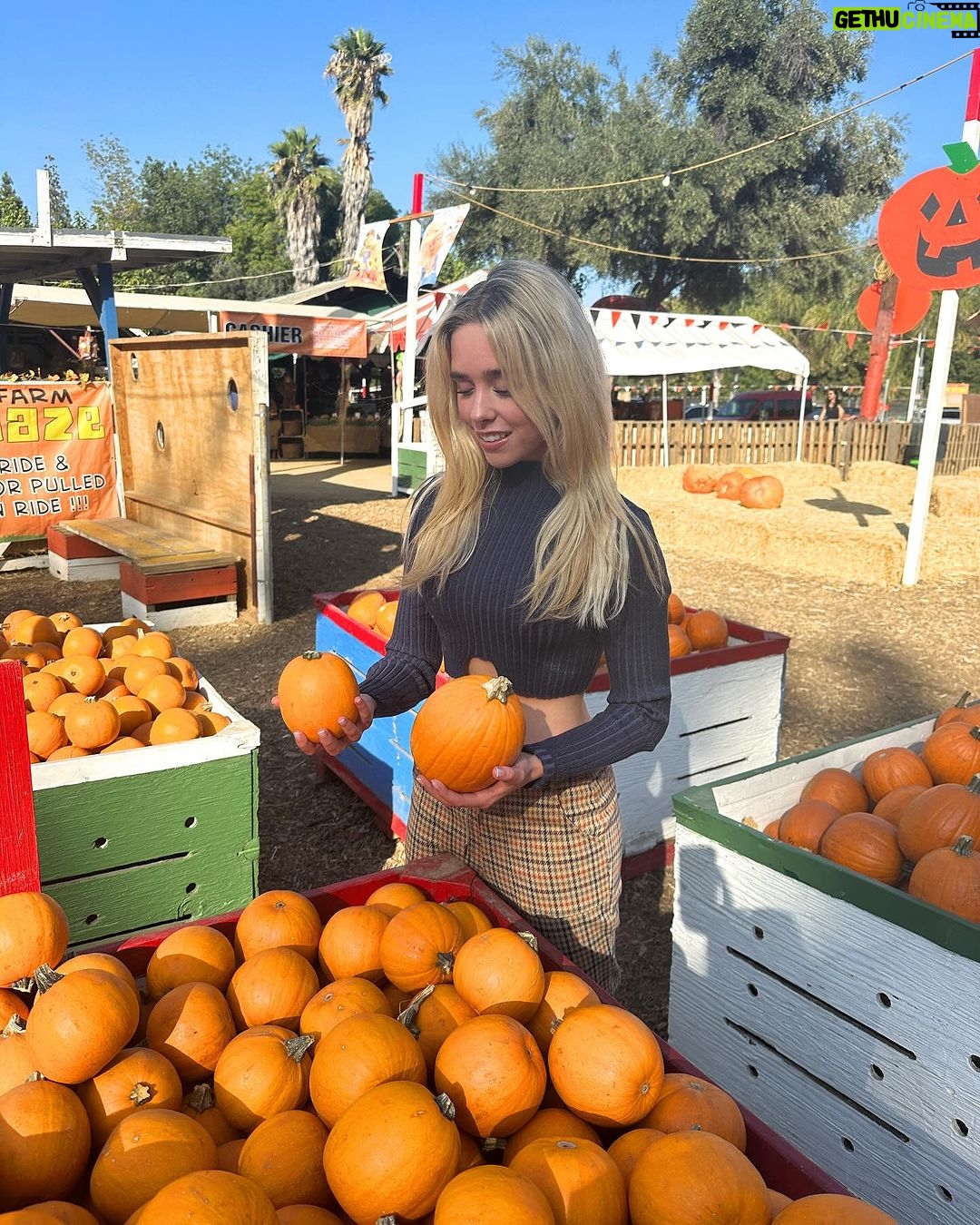 Jenna Davis Instagram - pumpkin patchin 🎃 Tapia Brothers Pumpkin Patch