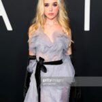 Jenna Davis Instagram - Last night was a dream🖤 I can’t wait for y’all to @meetm3gan in theaters JAN 3RD! Beyond grateful for @gerardjohnstone @universalpictures @blumhouse @susanboyajian for believing in me. stylist: @styledbylmc dress: @sophiecouture ring: @dangelojoyeria shoes: @kennethcole earrings: @nataliemillajewelry choker: @adornmonde hair/mua: @nixeyartistry @blumhouse @universal #m3gan #blumhouse #universal TCL Chinese Theatres