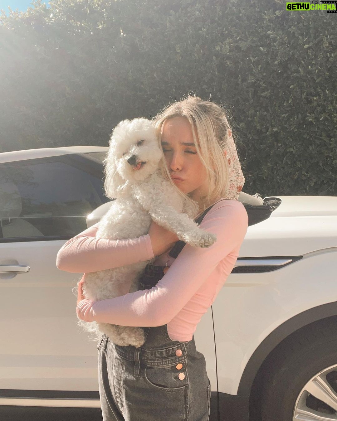 Jenna Davis Instagram - Rover & daisyyyš¼ My car on my drive way <3