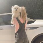 Jenna Davis Instagram - Rover & daisyyy🌼 My car on my drive way <3