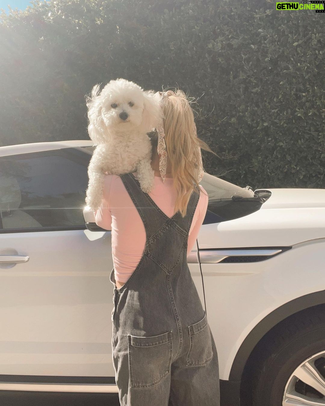 Jenna Davis Instagram - Rover & daisyyyš¼ My car on my drive way <3