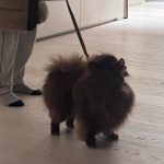 Jennie Kim Instagram - 그냥