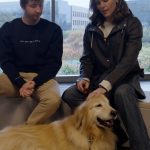 Jennifer Garner Instagram - Congrats to Birdie on her recent therapy dog promotion! My walk with @jennifer.garner and her dog is out now on YouTube ❤