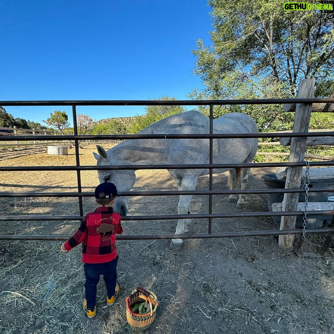 Jesse Tyler Ferguson Instagram - returned back home to the 505 to show the kiddos Beckett and Sullivan the magic of balloon fiesta & where their papa grew up 🎈🌶️ thanks for the magic @bishopslodgeauberge, @balloonfiesta & @m_marketingguru Bishop's Lodge, Auberge Resorts Collection
