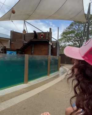 Jesy Nelson Instagram - No one will ever understand my love for 🦭