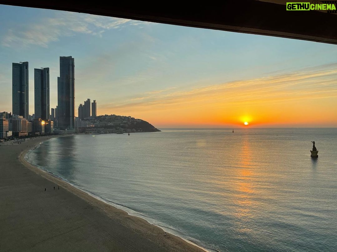 Ji Sung - 144.5K Likes - 힘차고 행복한 하루되세요~~~ ❤️