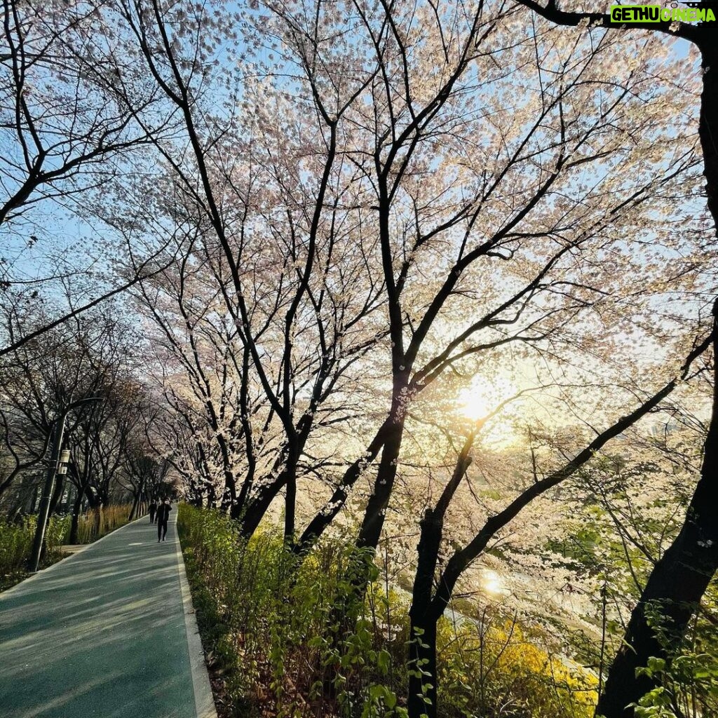 Ji Sung Instagram - 봄이에요. 웃음 꽃이 활짝 피는 듯.. 🌈2021년 4월의 시작.