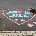 Jill Biden Instagram - Meanwhile, back in Wilmington... ❤️🐶 Champ and Major 🐶❤️