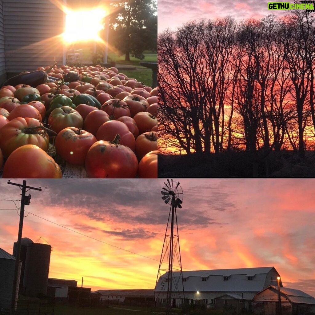 Jill Biden Instagram - Iowa in the fall is vibrant. I appreciate all of your hospitality! We can build a better nation if we do it together and we can’t wait! #CedarCounty #JonesCounty #BuchananCounty #BentonCounty #LinnCounty #LeeCounty #DesMoinesCounty #Iowa 📸Jodi Grover
