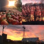 Jill Biden Instagram - Iowa in the fall is vibrant. I appreciate all of your hospitality! We can build a better nation if we do it together and we can’t wait! #CedarCounty #JonesCounty #BuchananCounty #BentonCounty #LinnCounty #LeeCounty #DesMoinesCounty #Iowa 📸Jodi Grover