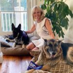 Jill Biden Instagram - Build Bark Better. Happy #NationalDogDay