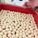 Jimmy Kimmel Instagram - Layering lasagna and rolling gnudi for Fishmas Eve