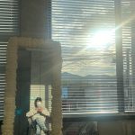 Jinyoung Instagram -