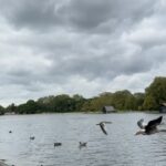 Jirakit Kuariyakul Instagram - 🦢🐿️☕️ Hype Park London