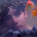 Jitaraphol Potiwihok Instagram - Our Goldfishes #lasttwilightseriesep2