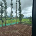 Jitendra Kumar Instagram - 🌳🧉💚 #moments #nature