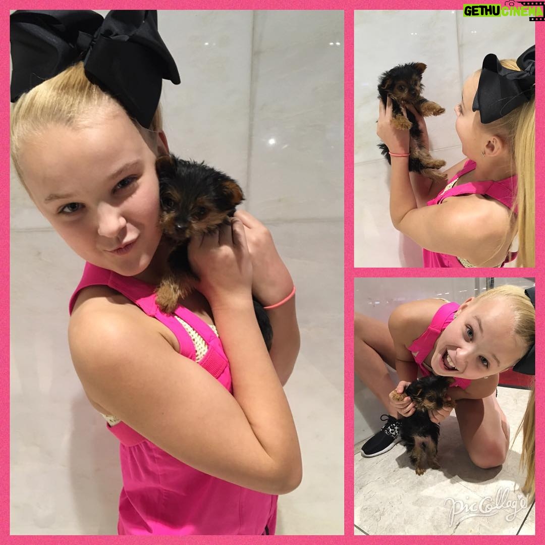 JoJo Siwa Instagram - I GOT A NEW PUPPY 💗💗💗💗💗 she's my fav 👍🏽👍🏼 Her name is BowBow And she's 1 pound !!!!! FOLLOW HER INSTAGRAM @itsbowbowsiwa 😉😉 #BowBowIsBaeBae
