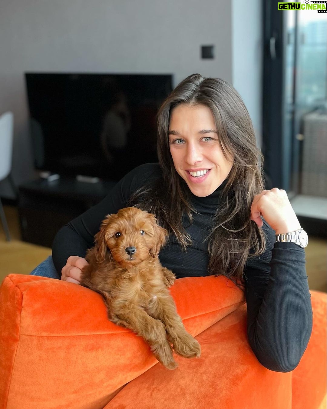 Joanna Jędrzejczyk Instagram - moje małe szczęście na które czekałam osiem lat☺️ witaj w rodzinie Daisy 🐶 @dog_daisy_cavapoo 🐶 @cava_minidoodles Macie psiaka?🙋🏻♀️ … #cavapoo #cavadoodle #Daisy #psiprzyjaciel #szczeniak Gdańsk, Poland
