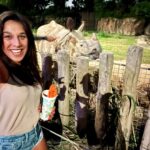 Joanna Jędrzejczyk Instagram - say hello to my little friend Tuli🦏 Night Safari - what an experience @nightsafarisingapore 🧡 … #wildanimal #wildanimals #rhino #nightsafari #nightsafarisingapore Night Safari, Singapore