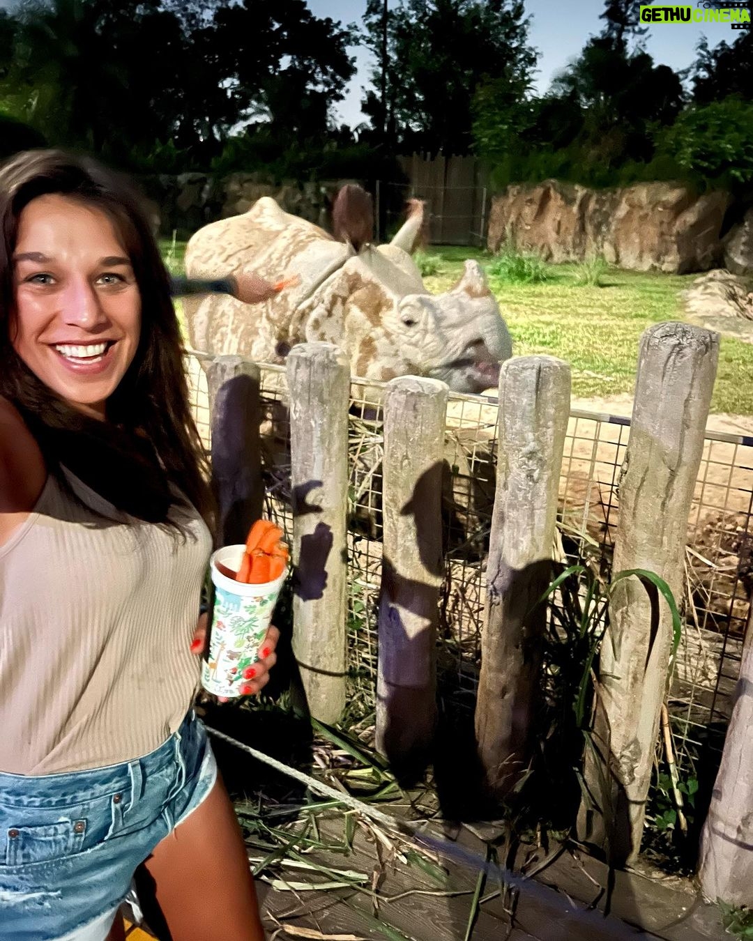 Joanna Jędrzejczyk Instagram - say hello to my little friend Tuli🦏 Night Safari - what an experience @nightsafarisingapore 🧡 … #wildanimal #wildanimals #rhino #nightsafari #nightsafarisingapore Night Safari, Singapore