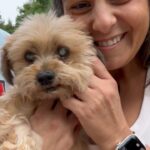 Joe Gatto Instagram - Say hi to the smoothest. Butter. This adorable little old lady needs a loving home. Please spread the word about Butter. Apply at GattoPupsandFriends.com