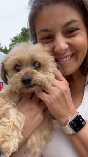 Joe Gatto Instagram - Say hi to the smoothest. Butter. This adorable little old lady needs a loving home. Please spread the word about Butter. 

Apply at GattoPupsandFriends.com