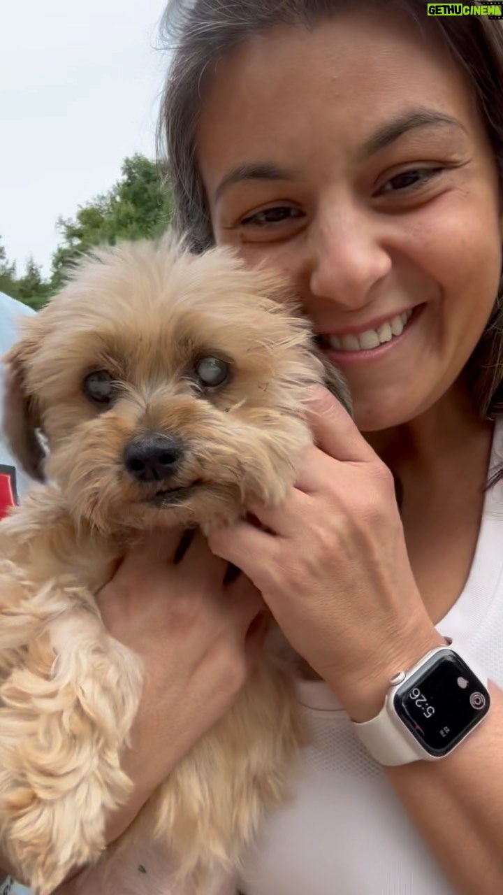 Joe Gatto - 56K Likes - Say hi to the smoothest. Butter. This adorable little old lady needs a loving home. Please spread the word about Butter.
Apply at GattoPupsandFriends.com