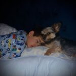 Joe Gatto Instagram - When Daddy is away, my son takes his “man of the house responsibilities” very seriously. They include sleeping in my bed on my pillow so Spumoni has him to snuggle. Spumoni sleeps like this every night with me. It warms my heart to see my son fill in for me. I love my babies. Both human and furry.