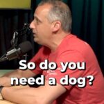 Joe Gatto Instagram - It’s Episode 67 of Two Cool Moms. Up top, we get into stories about how Joe regularly raids stages at charity events to cause chaos and a discussion about how mind blowing the accessibility of content is. The mommies then reflect on Joe’s mother’s irrational fear of the microwave and Steve’s moms inability to tackle home decor.  The questions pop off and lead the moms to cover what would be their comedic superpowers, what real talents they would want and how to handle regret.  Link in bio to watch on YouTube or listen on all platforms.