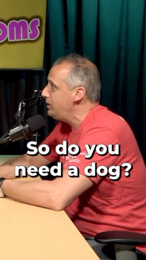 Joe Gatto Instagram - It’s Episode 67 of Two Cool Moms. Up top, we get into stories about how Joe regularly raids stages at charity events to cause chaos and a discussion about how mind blowing the accessibility of content is. The mommies then reflect on Joe’s mother’s irrational fear of the microwave and Steve’s moms inability to tackle home decor.  The questions pop off and lead the moms to cover what would be their comedic superpowers, what real talents they would want and how to handle regret. 
 
Link in bio to watch on YouTube or listen on all platforms.