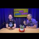 Joe Gatto Instagram - It’s time for Episode 54 and the moms try to solve the mystery why do people decide to work for a fast food change in the airport vs. one in your neighborhood? And then discussion turns to the magnificence of airport dining and what they think their retirement looks like. The questions come in asking for best side hustle, how to cast Joe and Steve in a sitcom series and deal with problems with the coach of their team. And they also deal some FANTASTIC advice on how to deal with writer’s block and how to mind your own business when it comes to your sister’s in-laws. And finally a side by side of Joe’s and Steve’s tweets show the disparity on their approach. Link in bio to watch on YouTube or listen on all platforms.