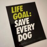 Joe Gatto Instagram – You know this is the truth. Thanks for the goods @puppiesmakemehappy . Check them out for some really great stuff. Also looking forward to our upcoming partnership with @gattopupsandfriends. Thanks for being awesome