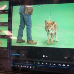 Joe Lo Truglio Instagram - 🎬June 24, 2021 🎬Our first shot for⛰ *Outpost* ⛰was up at @workingwildlife for VFX and couldn’t be more excited about the incredible group of people who’ve hung around for three years to finally make this movie. Swipe for Rose, who hit her mark like a pro today. ✨Please follow us for updates and more at 🔺@outpost_the_film.🔺