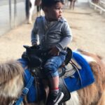 Joe Lo Truglio Instagram - This is an old pic, but wanted to show this little man’s been fearless since day one. He’s six now, holds live scorpions in his hand, and cruelly teases me that I’m an old man (true). He’s a better TBall and chess player than I ever was. He makes up songs about butts and zombies, but in a classy way. (Great rhymes). He makes me humble and I’m thankful all the time. Happy birthday Eli. We love you pal. ❤️