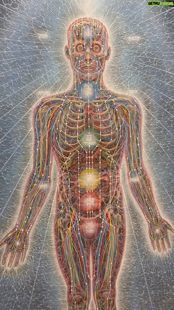 Joe Manganiello Instagram - PSYCHIC ENERGY SYSTEM - Alex Grey