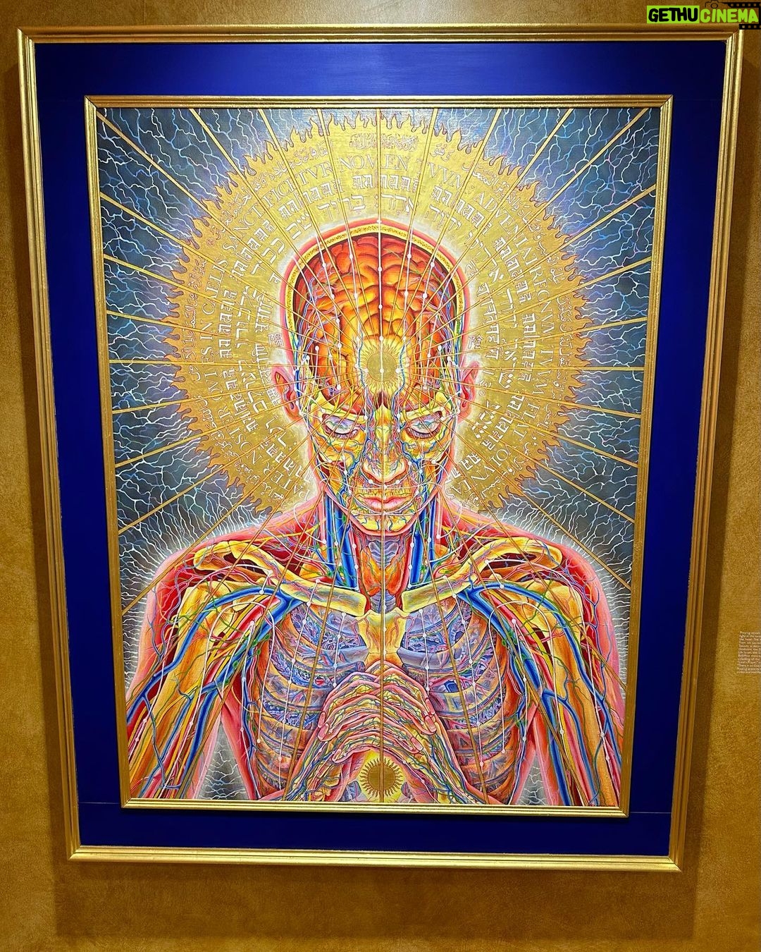 Joe Manganiello Instagram - ALEX & ALLYSON GREY’S • ENTHEON/CHAPEL OF SACRED MIRRORS One of the great single/dual artist museums in the world… Psychedelic ancient mysticism + Jungian archetypes + scientific anatomy = 🤯