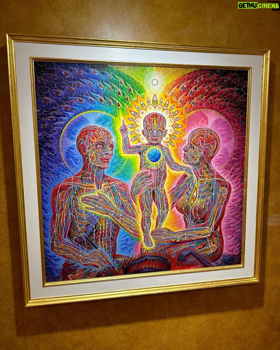 Joe Manganiello Instagram - ALEX & ALLYSON GREY’S • ENTHEON/CHAPEL OF SACRED MIRRORS One of the great single/dual artist museums in the world… Psychedelic ancient mysticism + Jungian archetypes + scientific anatomy = 🤯