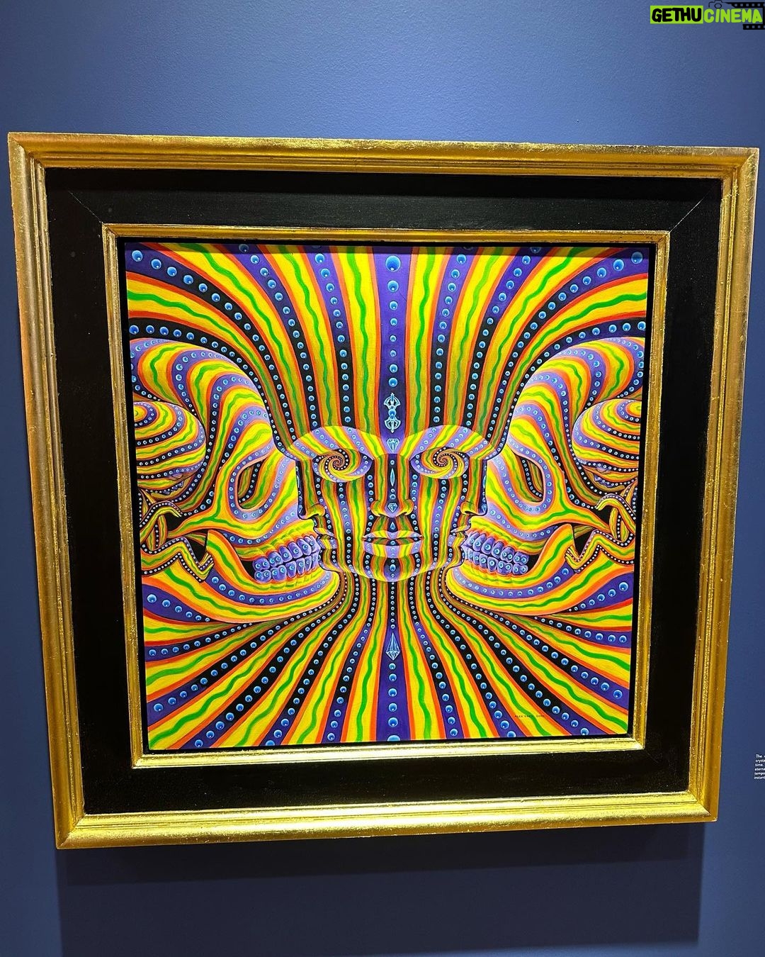 Joe Manganiello Instagram - ALEX & ALLYSON GREY’S • ENTHEON/CHAPEL OF SACRED MIRRORS One of the great single/dual artist museums in the world… Psychedelic ancient mysticism + Jungian archetypes + scientific anatomy = 🤯