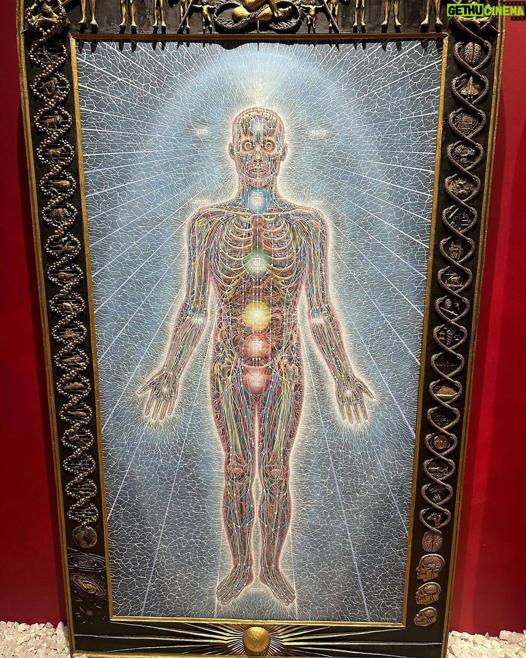 Joe Manganiello Instagram - ALEX & ALLYSON GREY’S • ENTHEON/CHAPEL OF SACRED MIRRORS One of the great single/dual artist museums in the world… Psychedelic ancient mysticism + Jungian archetypes + scientific anatomy = 🤯