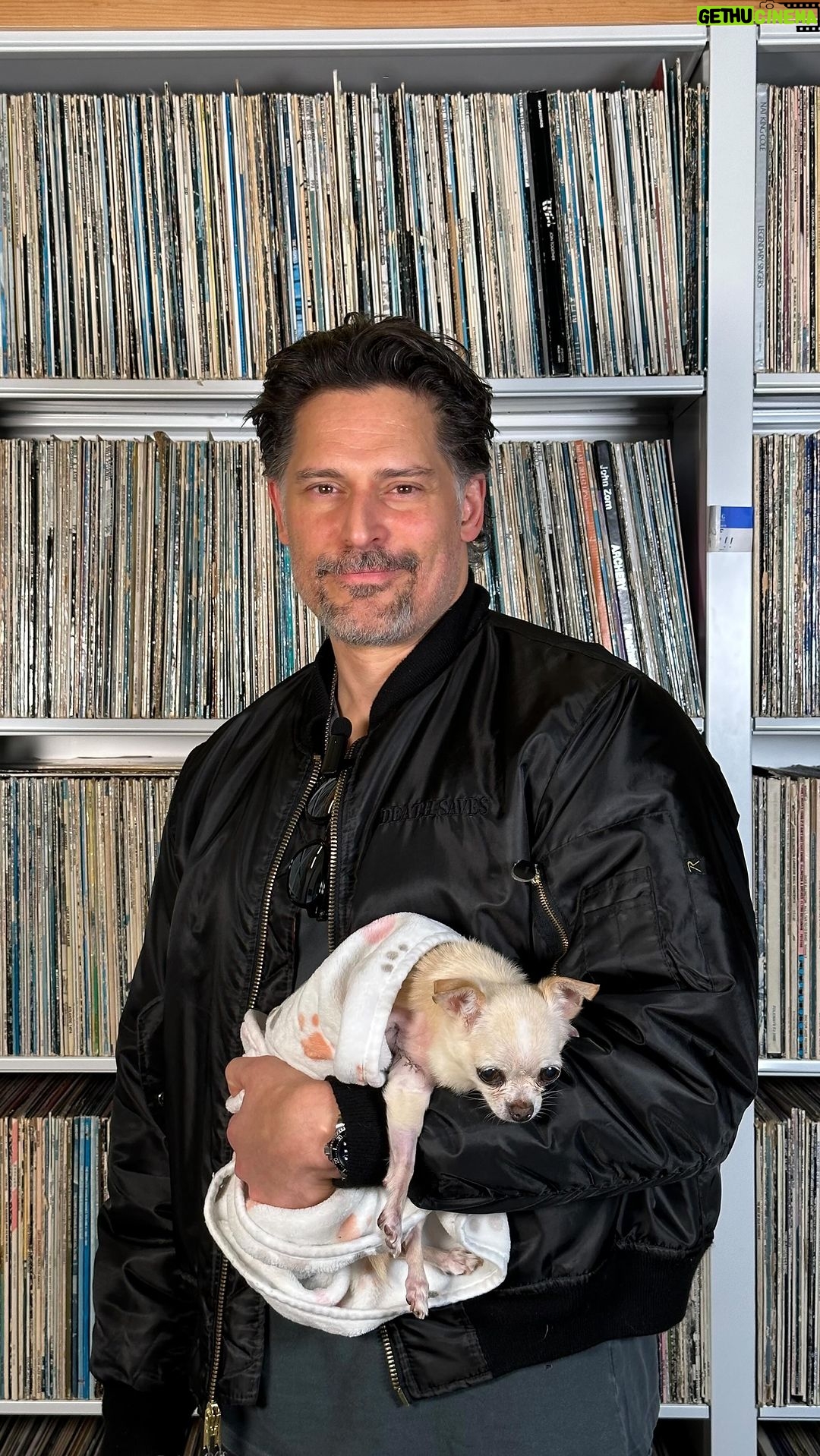Joe Manganiello Instagram - This week on The Treatment, @theelvismitchell sits down with @joemanganiello to talk about identity, how it informs his work, and how a life-altering discovery on his upcoming segment of PBS’ “Finding Your Roots” has come to reshape it. We caught up with Joe, and his adorable fur baby ‘Bubbles’ at the @kcrwmusic Library to find out what he’s been listening to through this period of discovery in his family’s history and genealogy. 🔗 Catch the conversation by heading to the link in our bio. #thetreatment #elvismitchell Santa Monica, California