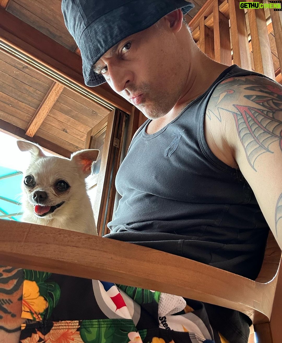 Joe Manganiello Instagram - WELCOME TO THE JUNGLE… ISLAND! Tune in TONIGHT for the series premiere of DEAL OR NO DEAL ISLAND AT 9:30pm eastern on NBC