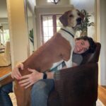 Joel Courtney Instagram - When you think you adopted a beagle but it turns out he’s probably a St. Bernard 😅🫢😲